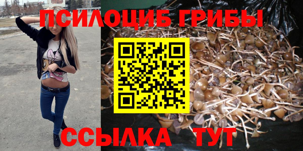 Alpha PVP Лесосибирск