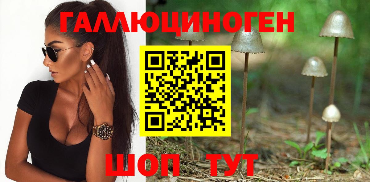Лесосибирск  Вход с VPN  Канабис  Меф МЯУ МЯУ   Где найти наркотики?  Канабис 